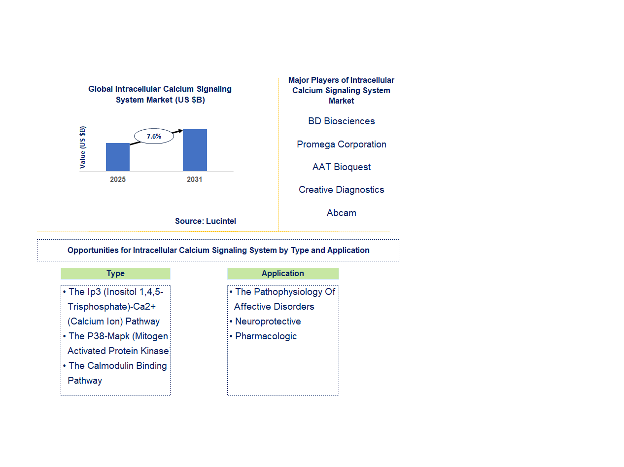 Intracellular Calcium Signaling System Market Trends and Forecast
